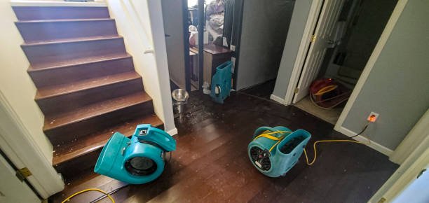 Best 24/7 water damage repair  in Sebree, KY