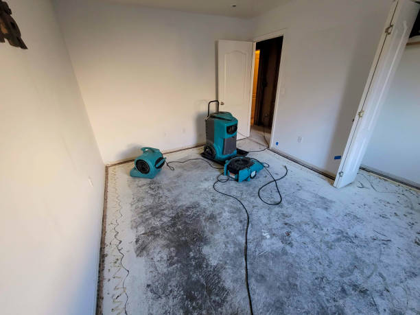 Best 24-hour water damage restoration  in Sebree, KY
