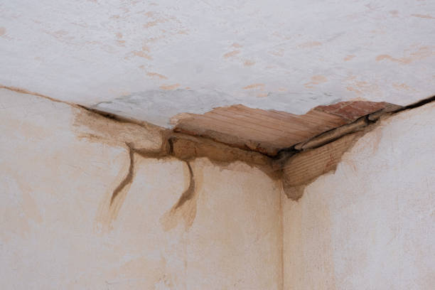 Best Flood damage cleanup  in Sebree, KY