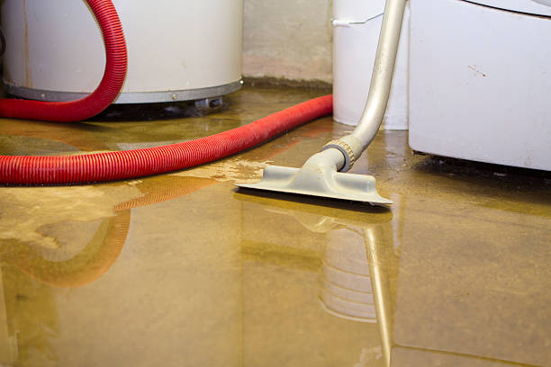 Reliable Sebree, KY Water damage restoration Solutions