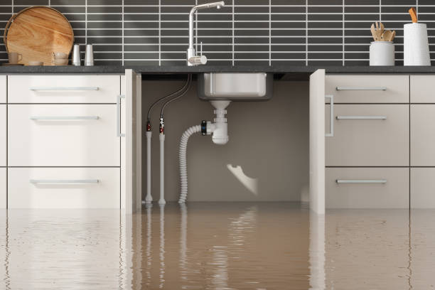 Best Basement water damage restoration  in Sebree, KY