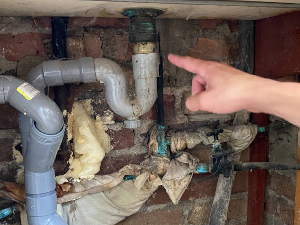 Best Fire Damage Restoration  in Sebree, KY