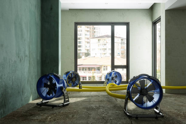 Best Residential water damage restoration  in Sebree, KY